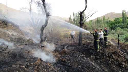 آتش سوزی در مراتع استان مرکزی 60 درصد کاهش یافت