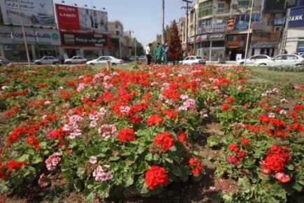 فرش گل 700 متري در ساحل كارون فرش گل 700 متري در ساحل كارون