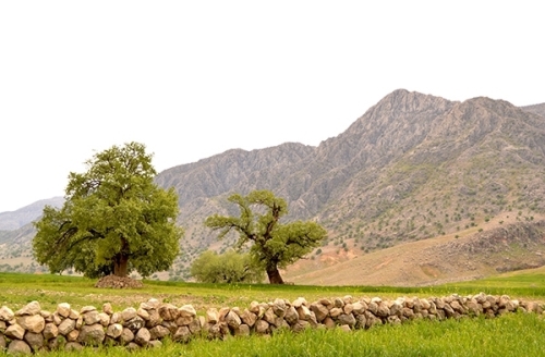 جاذبه&zwnj;های گردشگری و توریستی خوزستان + عکس