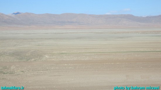 کافترِ هچنان تشنه...+عکس کافترِ هچنان تشنه...+عکس