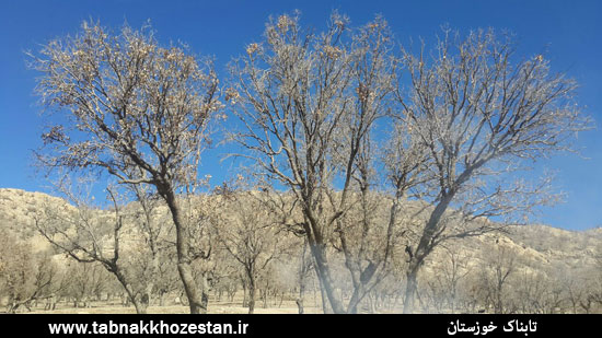 تصاویر/ برف بازی خوزستانی ها در منطقه مونگار