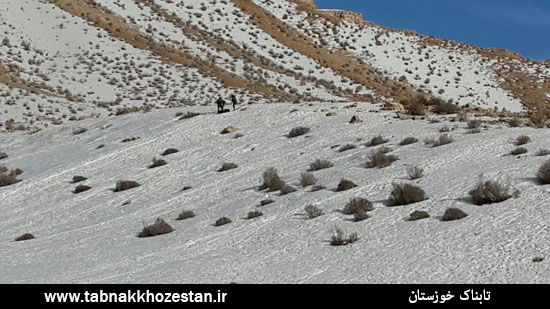 تصاویر/ برف بازی خوزستانی ها در منطقه مونگار
