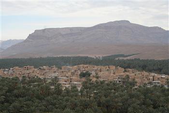 نخل ها و بناهای تاریخی خاوران نیازمند توجهند نخل ها و بناهای تاریخی خاوران نیازمند توجهند