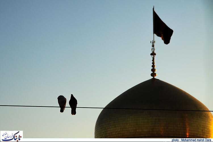 شور و شکوه روز زیارتی حضرت رضا(ع) + عکس‌ها