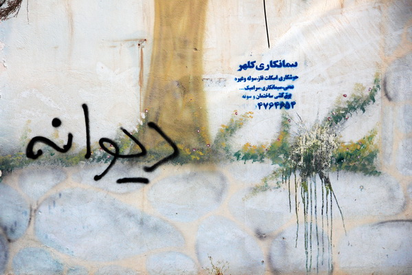 دیوارنویسی،&zwnj; معضل بی پایان