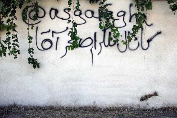 دیوارنویسی،&zwnj; معضل بی پایان