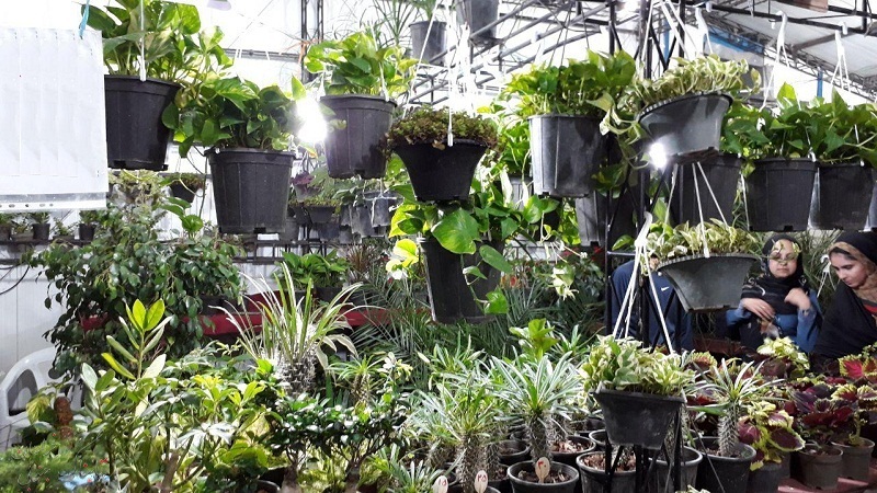 تصاویر زیبا از نمایشگاه گل و گیاه بیرجند