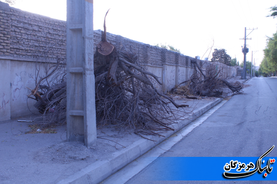 زیر ساخت آسفالت شهر بندرعباس به روایت تصویر زیر ساخت آسفالت شهر بندرعباس به روایت تصویر