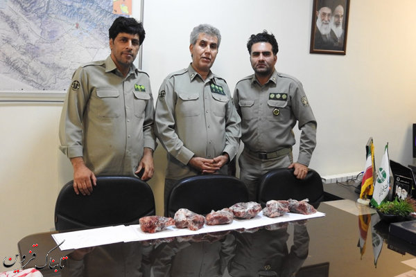 کشف لاشه یک رأس کل وحشی از شکارچی متخلف در آبیک کشف لاشه یک رأس کل وحشی از شکارچی متخلف در آبیک