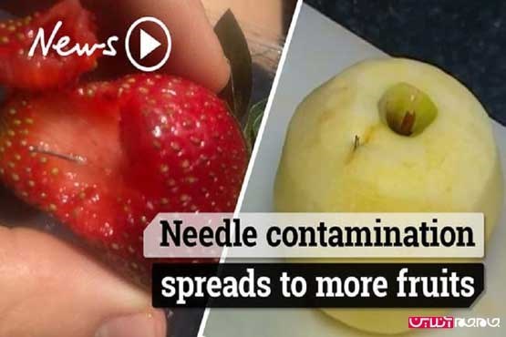 عامل میوه های سوزن دار دستگیر شد +عکس