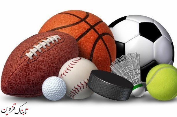 رضا علیپور بر سکوی سوم ایستاد/رتبه نخست هیئت تیراندازی استان در ارزیابی فدراسیون رضا علیپور بر سکوی سوم ایستاد/رتبه نخست هیئت تیراندازی استان در ارزیابی فدراسیون