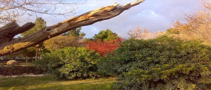 معرفی آثار تاریخی و جاذبه های گردشگری استان ایلام/کوه قلاقیران، تنگه رازیانه، پارک جنگلی چغا سبز، پارک ملت معرفی آثار تاریخی و جاذبه های گردشگری استان ایلام/کوه قلاقیران، تنگه رازیانه، پارک جنگلی چغا سبز، پارک ملت