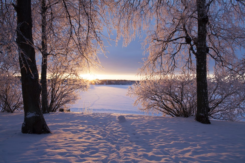 زمستان چه چیزهایی بخوریم؟ زمستان چه چیزهایی بخوریم؟