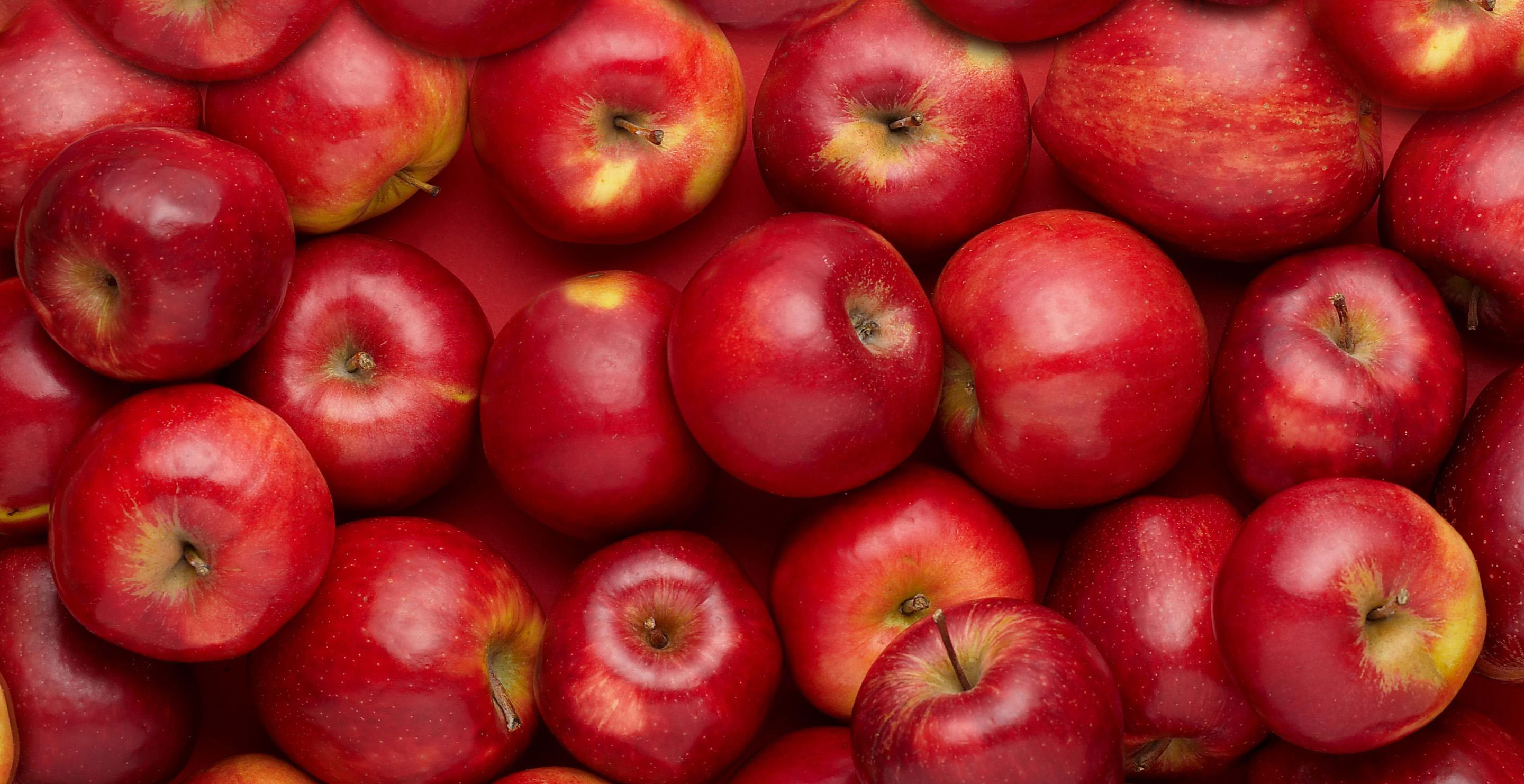 زمستان چه چیزهایی بخوریم؟ زمستان چه چیزهایی بخوریم؟