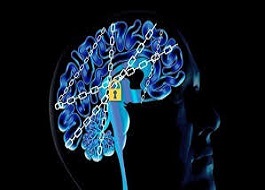 بی مُخ زایی چیست؟!