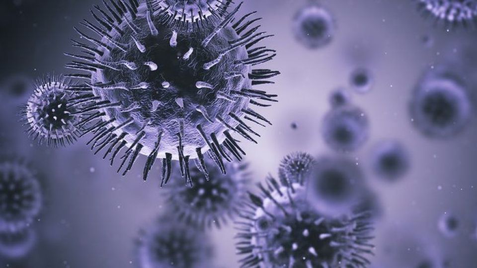 آماده مقابله با ویروس کرونا هستیم آماده مقابله با ویروس کرونا هستیم