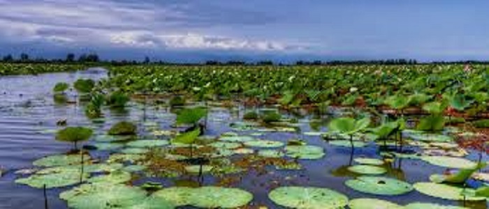 معرفی آثار تاریخی و جاذبه های گردشگری استان گیلان/ماسوله، تالاب انزلی، دیلمان، تالاب سوستان معرفی آثار تاریخی و جاذبه های گردشگری استان گیلان/ماسوله، تالاب انزلی، دیلمان، تالاب سوستان