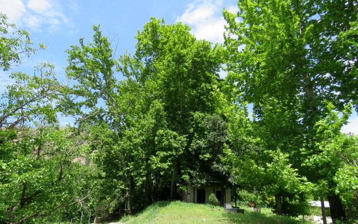 ثبت پنج اثر طبیعی استان قزوین در فهرست آثار ملی ثبت پنج اثر طبیعی استان قزوین در فهرست آثار ملی