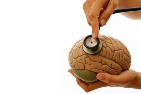 قطار سلامت برای رسیدن به مقصد نیازمند لوکوموتیو ران و خدمه&zwnj;ی سالم می&zwnj;باشد