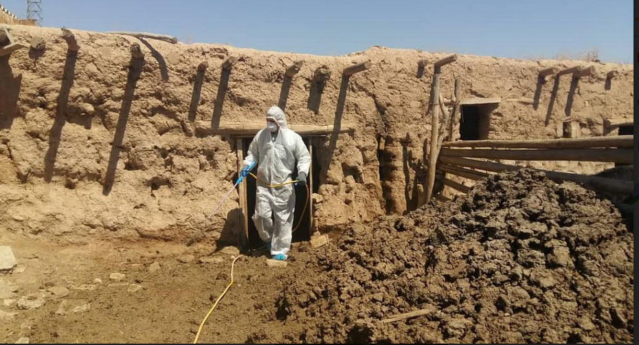 روستاهای پرخطر آبیک برای پیشگیری از لمپی اسکین سم پاشی شد روستاهای پرخطر آبیک برای پیشگیری از لمپی اسکین سم پاشی شد