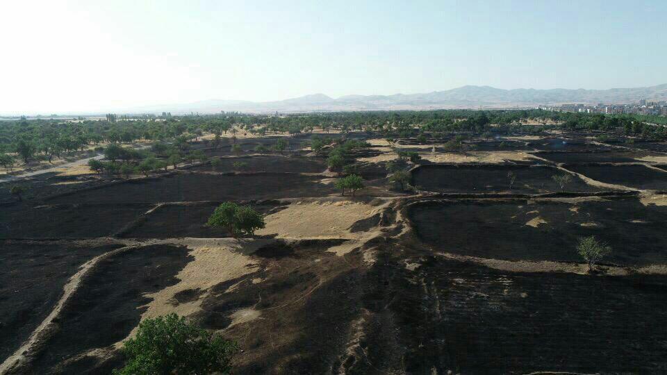 علفزارها در باغستان قزوین آتش گرفتند علفزارها در باغستان قزوین آتش گرفتند