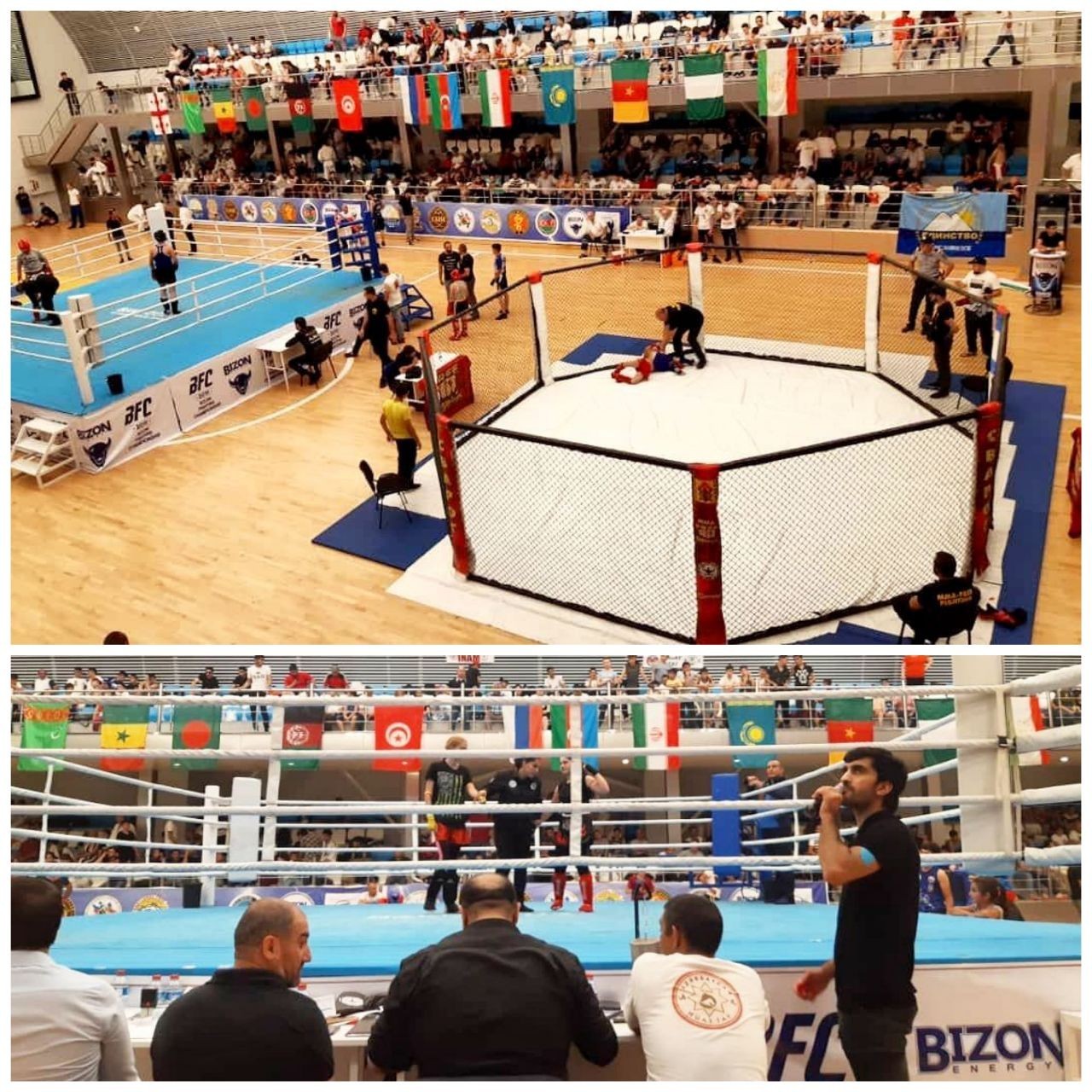 رمزگشایی از پرونده فستیوال بین المللی هنرهای رزمی آذربایجان / واقعیت های ندا ژوبین