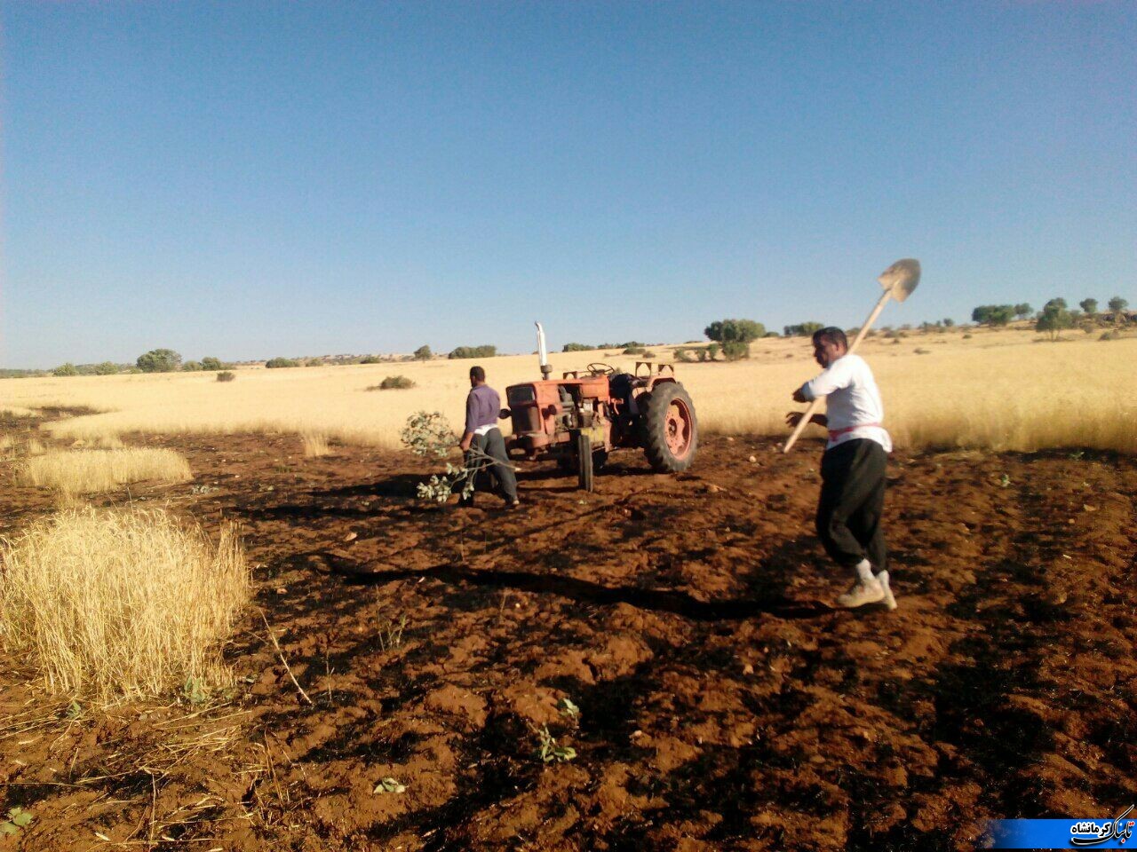 مراتع بخش گهواره دچار حریق شد