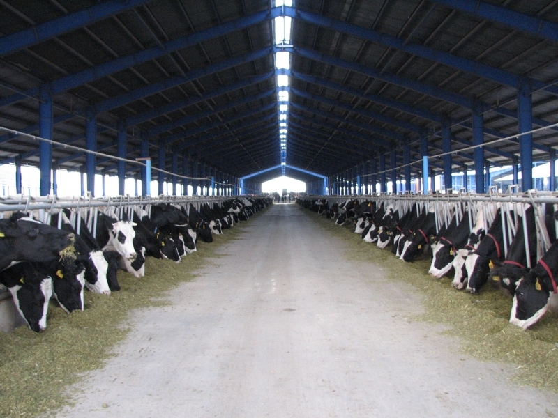 در بخش کشاورزی شهرستان البرز86 نفر جذب شدند در بخش کشاورزی شهرستان البرز86 نفر جذب شدند