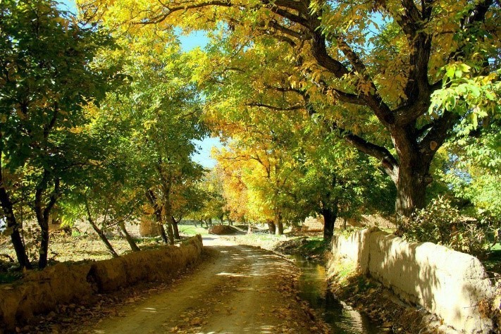 بارش برف و باران در قزوین بارش برف و باران در قزوین