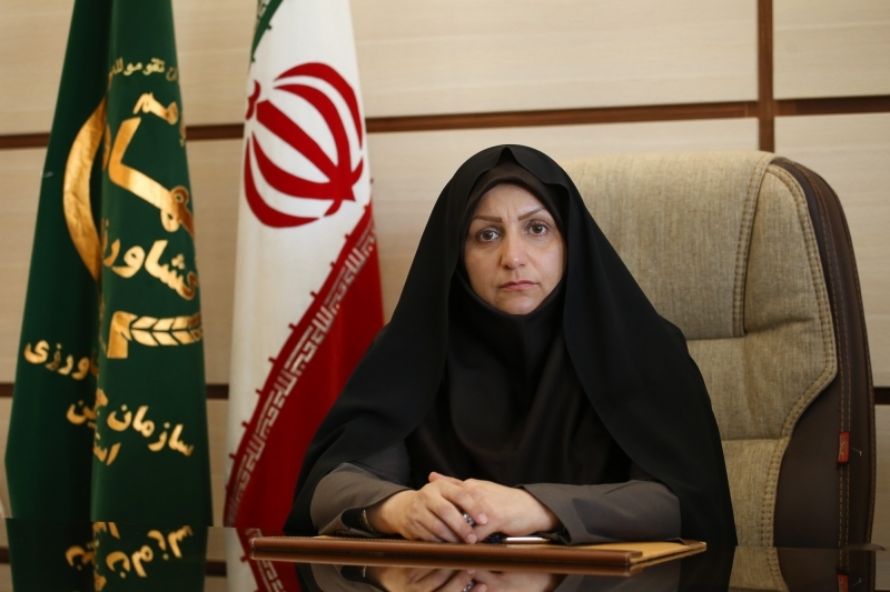 مبارزه با ملخ در سطح ۲۹۵۵ هکتار از مزارع استان قزوین