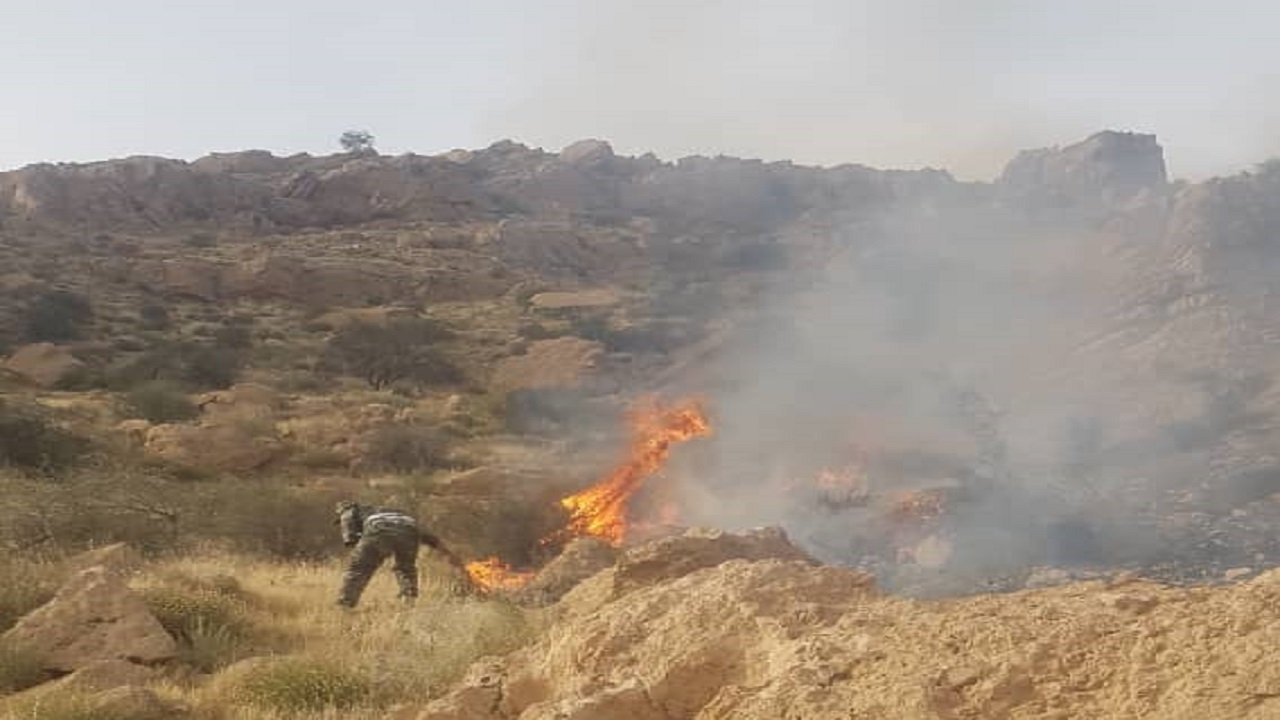 ۵۲ هکتار از مراتع دشتی در آتش سوخت