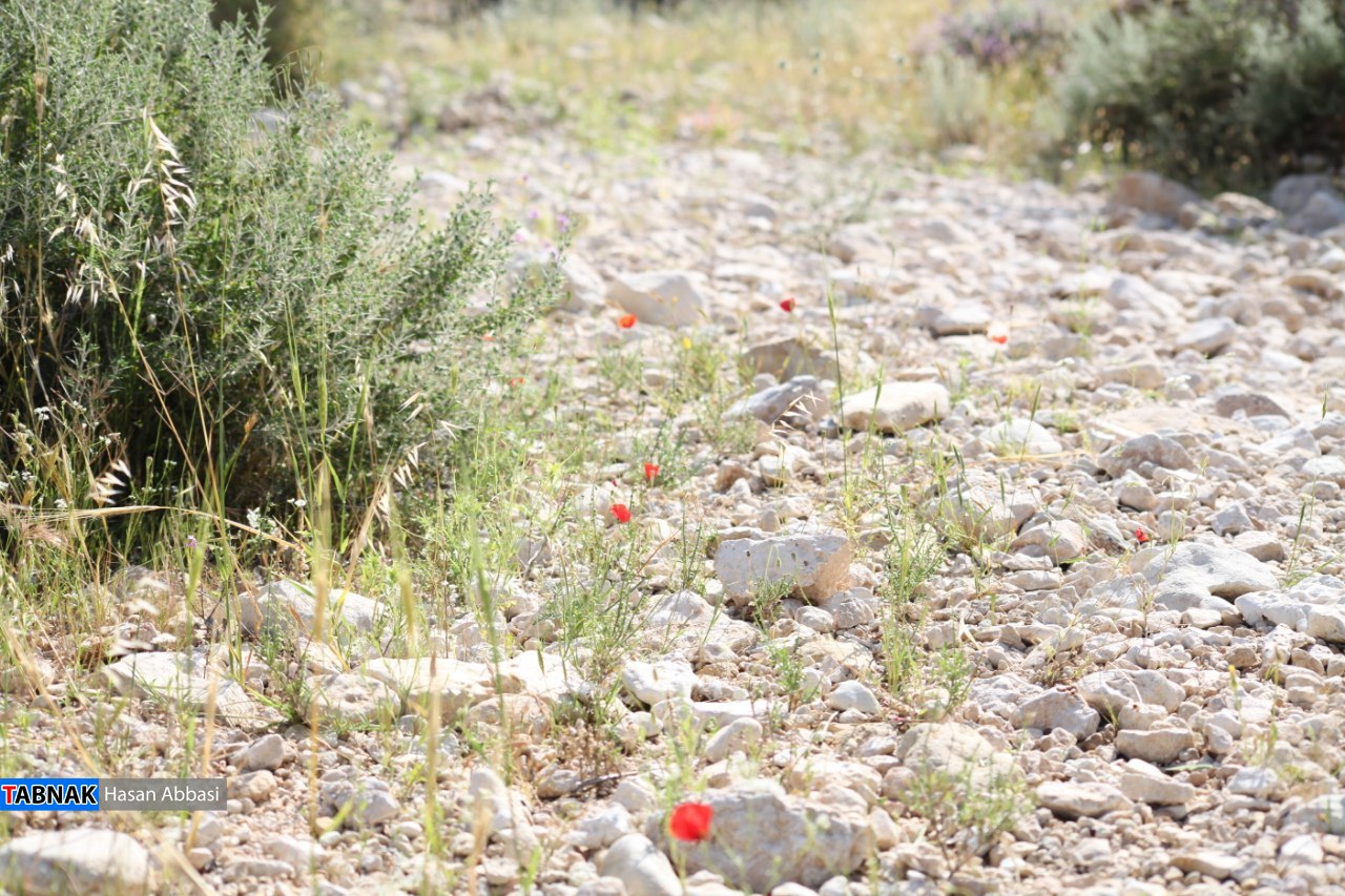 تنگ خلیل تنگ خلیل