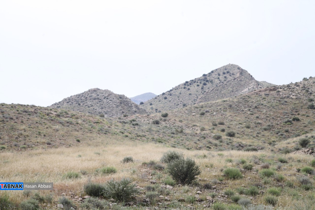 دره شاهی دره شاهی