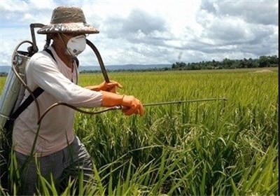 مصرف سموم در کشور ما پایینتر از متوسط جهانی است مصرف سموم در کشور ما پایینتر از متوسط جهانی است