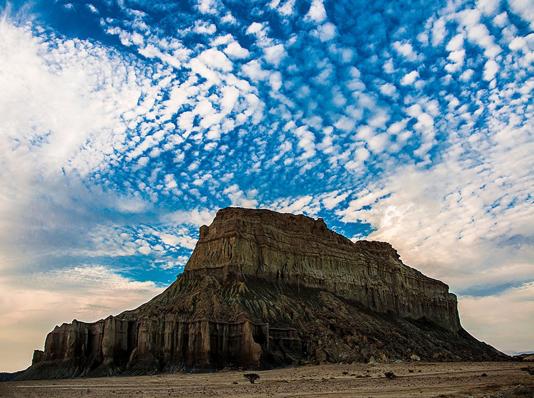 بازدید از جنگل حرا در تور قشم بازدید از جنگل حرا در تور قشم