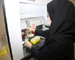 اجرا 204 طرح تحقیقاتی مرتبط با کرونا