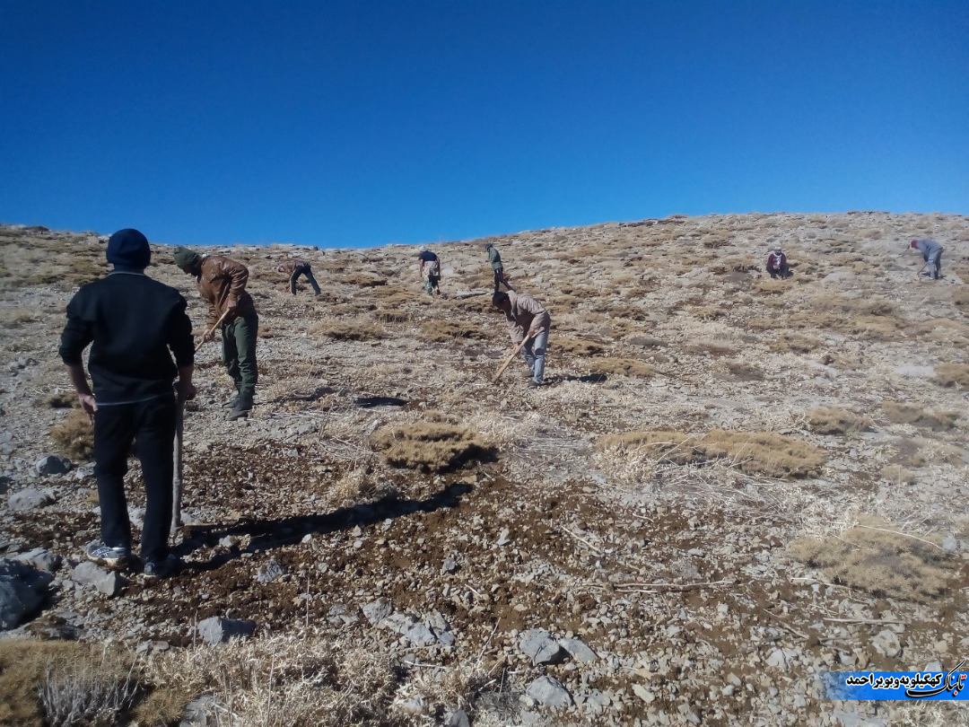 وحدت و همدلی در احیا و حفاظت از 90 هکتار پوشش گیاهی کوه سیاه وحدت و همدلی در احیا و حفاظت از 90 هکتار پوشش گیاهی کوه سیاه