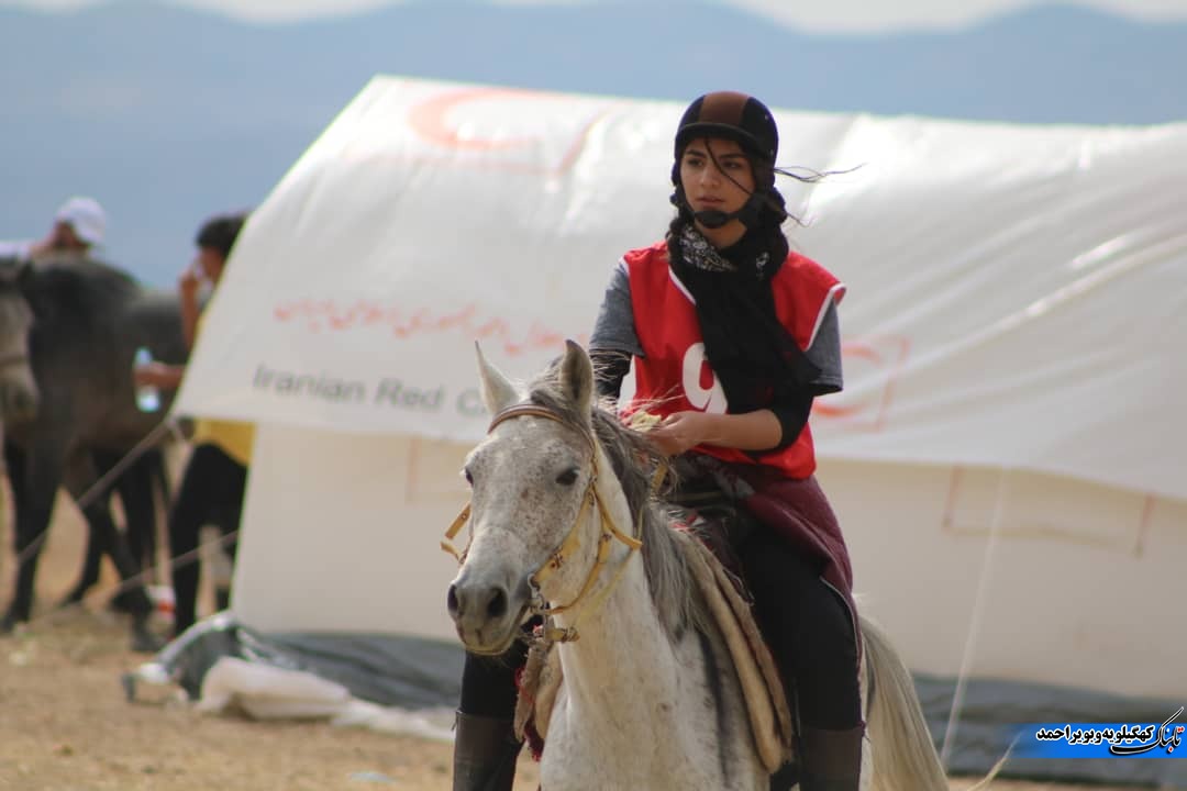 جایگاه اسب در فرهنگ عشایری استان / سوارکاری با دستان خالی و هزینه های سنگین / دستگاه هایی که می توانند و کمک نمی کنند!