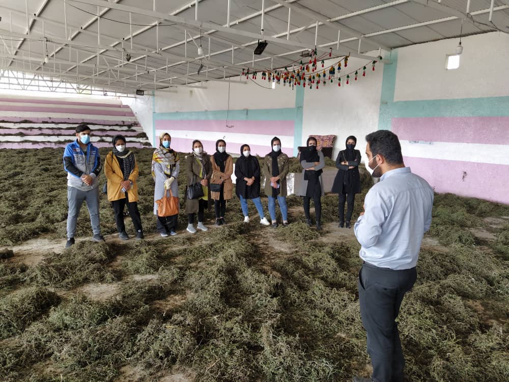 گزارش جامع نماینده بنیاد علوی از طرح محرومیت زدایی لنده+تصاویر گزارش جامع نماینده بنیاد علوی از طرح محرومیت زدایی لنده+تصاویر