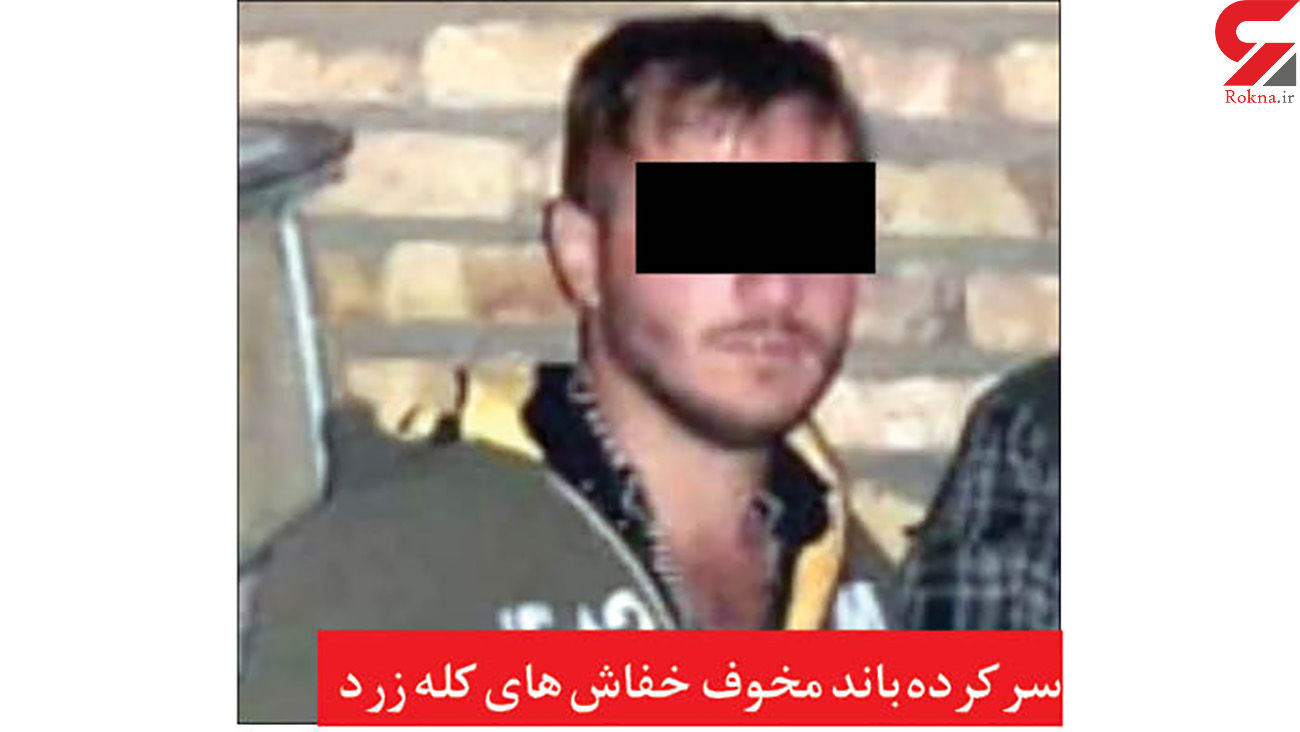 خفاش کله زرد دستگیر شد