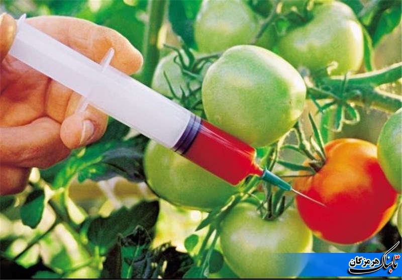 یادداشت/مصرف تراريخته ؛ آري يا خير؟