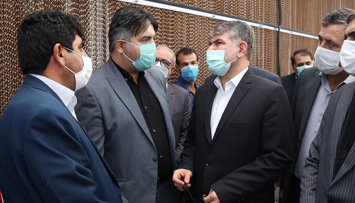 بزرگترين شهرک گلخانه‌ای غرب كشور در اسلام آبادغرب به بهره‌برداری می‌رسد