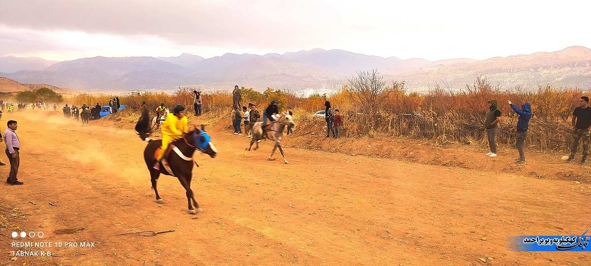 برگزاری مرحله دوم مسابقات کورس پاییزه در یاسوج / سوارکاری ، ورزشی مهیج اما نیازمند حمایت + تصاویر
