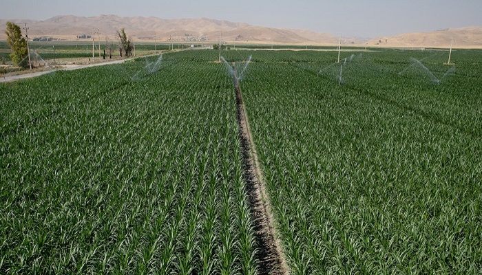 فرمانداری سرپلذهاب پیگیر رفع مشکلات زمینهای زهدار شده روستایی است