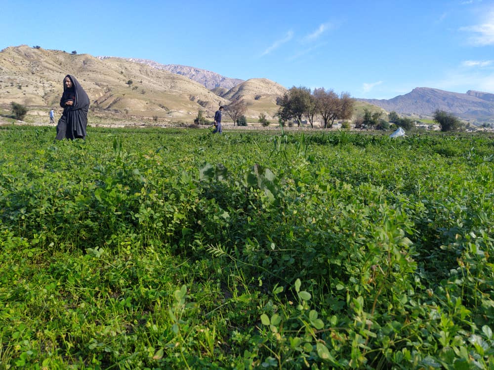 توزیع اعتبار ۳۷ میلیاردی در حوزه اشتغال توسط بنیاد علوی/اولویت نهاد پیشرفت و آبادانی برای سال ۱۴۰۱ لنده+تصاویر