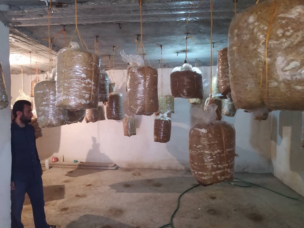 توزیع اعتبار ۳۷ میلیاردی در حوزه اشتغال توسط بنیاد علوی/اولویت نهاد پیشرفت و آبادانی برای سال ۱۴۰۱ لنده+تصاویر توزیع اعتبار ۳۷ میلیاردی در حوزه اشتغال توسط بنیاد علوی/اولویت نهاد پیشرفت و آبادانی برای سال ۱۴۰۱ لنده+تصاویر