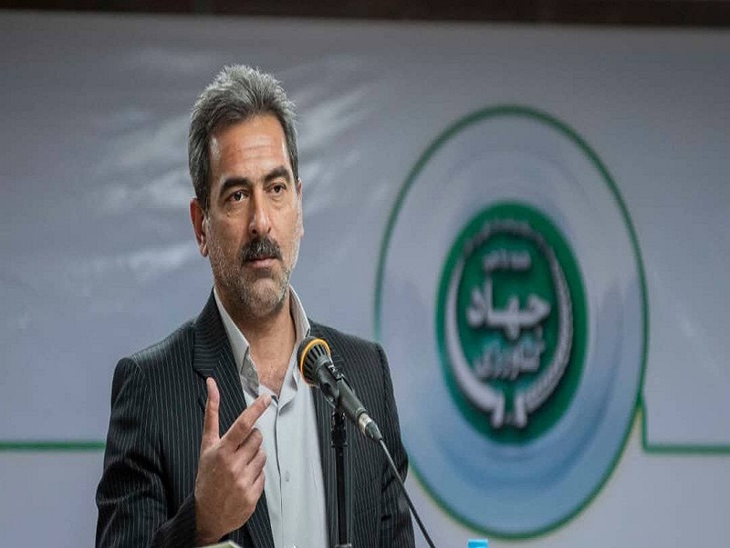 محدودیتی در عرضه گوشت قرمز منجمد نداریم/ قیمت ها به زودی تعدیل می شود