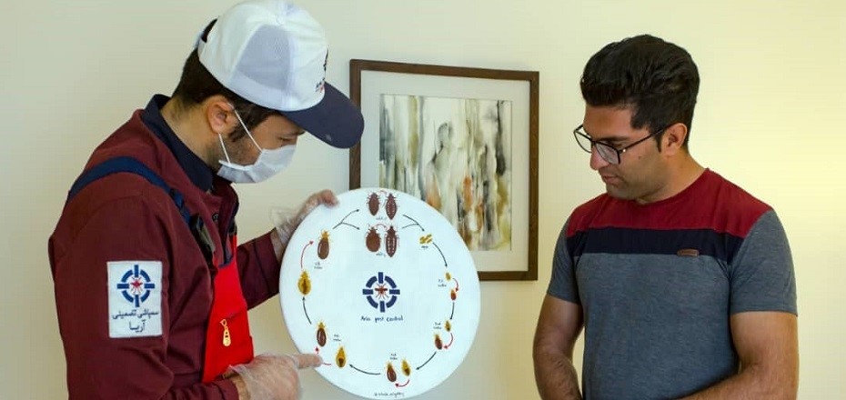 آیا سمپاشی خانگی راه درستی برای مبارزه با حشرات خانه است؟ آیا سمپاشی خانگی راه درستی برای مبارزه با حشرات خانه است؟