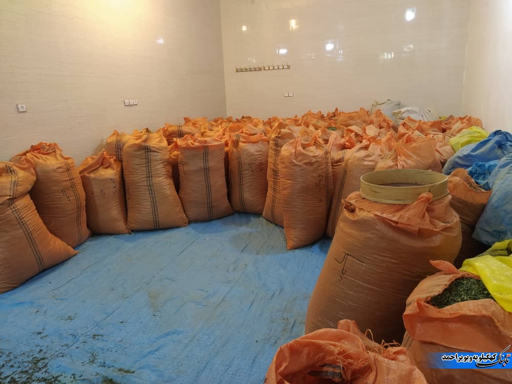 لنده، توان تولید « گیاهان دارویی» خود را افزایش میدهد/کاشت یک میلیون نشای گیاهان دارویی در سال ۱۴۰۱+تصاویر+تصاویر لنده، توان تولید « گیاهان دارویی» خود را افزایش میدهد/کاشت یک میلیون نشای گیاهان دارویی در سال ۱۴۰۱+تصاویر+تصاویر