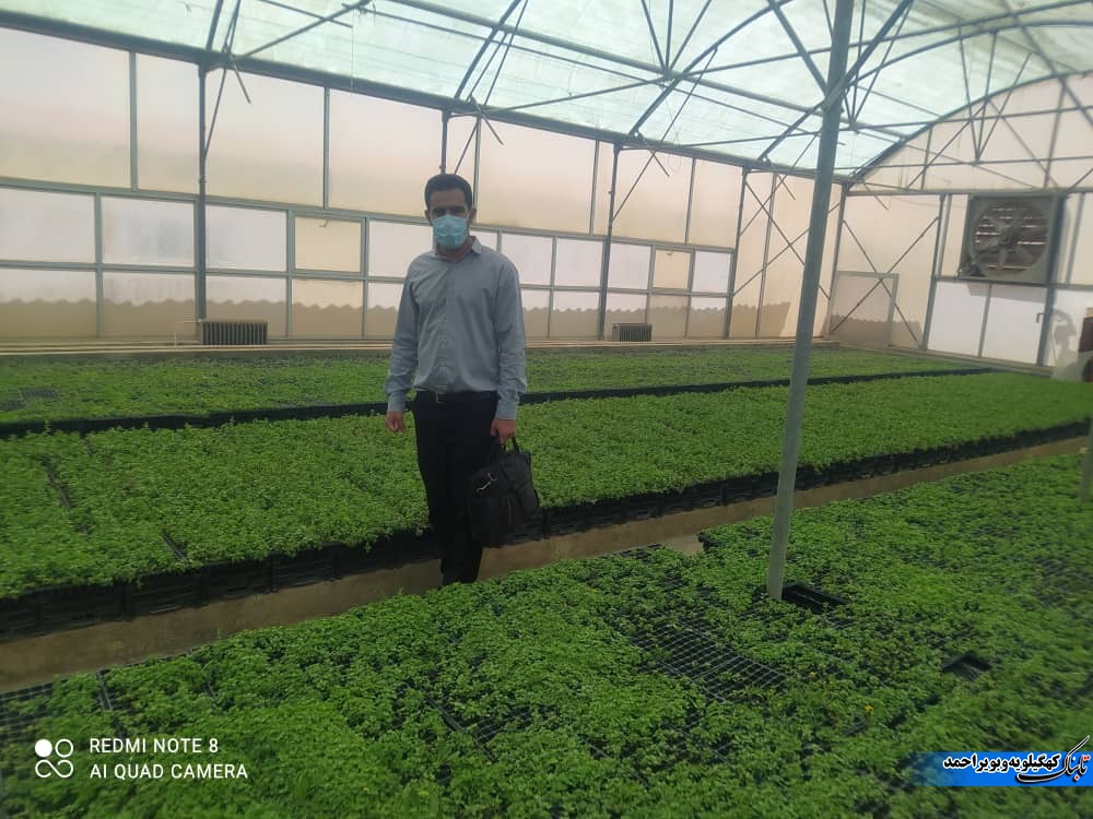 لنده، توان تولید « گیاهان دارویی» خود را افزایش میدهد/کاشت یک میلیون نشای گیاهان دارویی در سال ۱۴۰۱+تصاویر+تصاویر لنده، توان تولید « گیاهان دارویی» خود را افزایش میدهد/کاشت یک میلیون نشای گیاهان دارویی در سال ۱۴۰۱+تصاویر+تصاویر